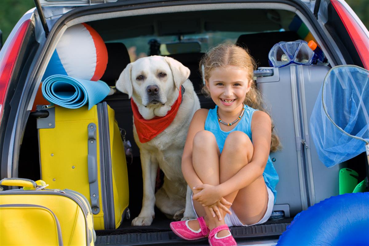 Derniere Minute Promo Camping Pres De Noirmoutier Vacances Pas Cheres Camping Le Bois Joli