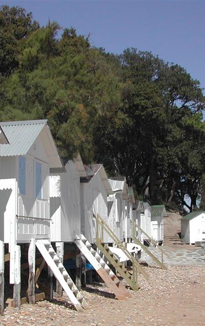 Noirmoutier - camping Vendée - Camping Le Bois Joli