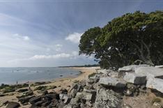 Noirmoutier - Camping bord de mer en Vendée - Camping Le Bois Joli