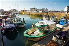 Camping Saint Gilles Croix de Vie - Camping Le Bois Joli