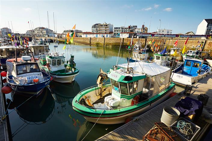Camping Saint Gilles Croix de Vie - Camping Le Bois Joli