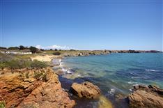 L'île d'Yeu et ses plages  - Camping Le Bois Joli