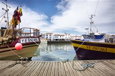 L'île d'Yeu - Camping Le Bois Joli
