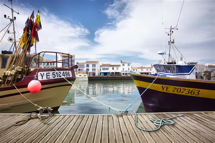 L'île d'Yeu - Camping Le Bois Joli