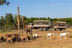 Camping location mobil-home proche Planète sauvage - Camping Le Bois Joli