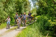 Camping proche Challans - Camping Le Bois Joli