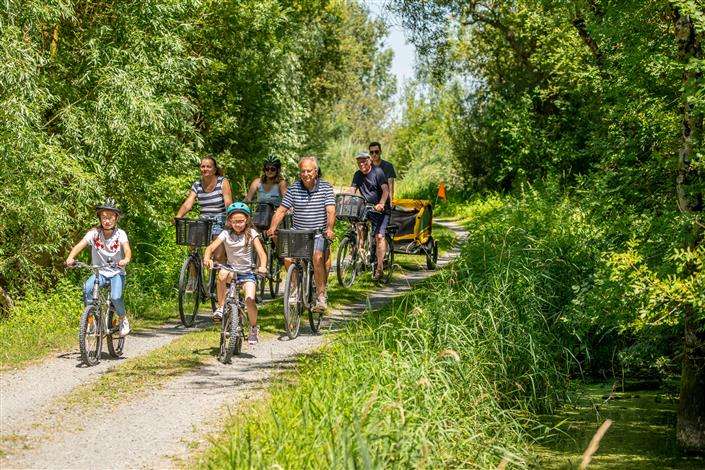Camping proche Challans - Camping Le Bois Joli
