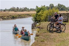 Camping proche Nantes - Camping Le Bois Joli