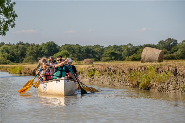 Camping emplacement tente - Camping Le Bois Joli