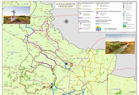Camping Le Bois Joli Vendée - Sentiers pédestres Bois de Céné - Camping Le Bois Joli