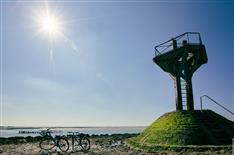 ile de Noirmoutier  Vendée proche du camping le bois joli  - Camping Le Bois Joli