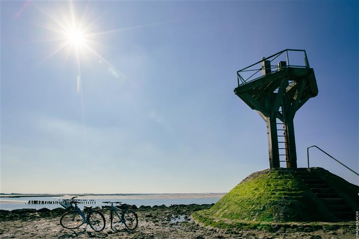 ile de Noirmoutier  Vendée proche du camping le bois joli  - Camping Le Bois Joli