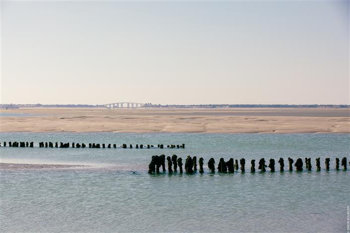 ile de Noirmoutier a cote du camping le bois joli vendée - Camping Le Bois Joli