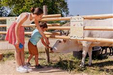 mini ferme camping le bois joli Vendée 4 étoiles maeva - Camping Le Bois Joli
