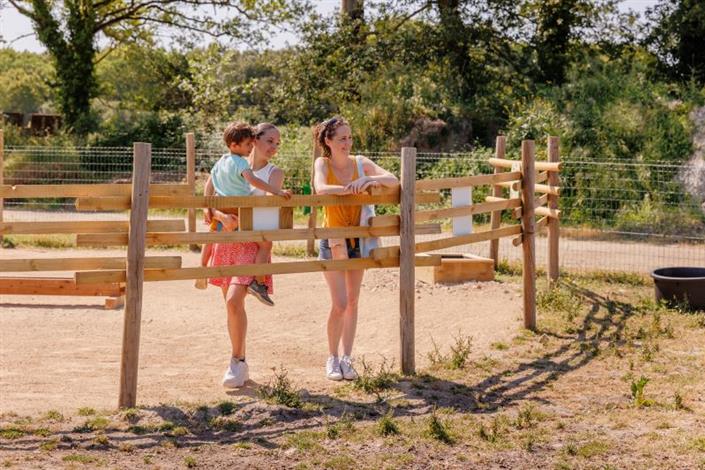 Camping Le Bois Joli