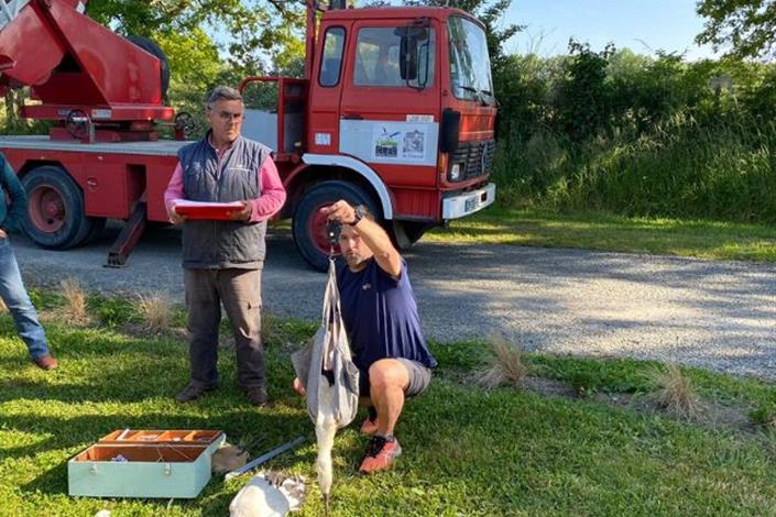Camping Le Bois Joli-Lagon-Vendée-85-4 étoiles-Challans-Pornic-Noirmoutiers-Piscine-Animations-Maeva-Camping Famille-cigogne-miniferme - Camping Le Bois Joli