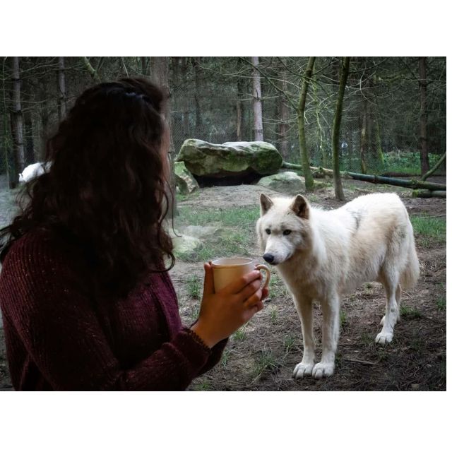 Univers immersif - Camping Le Bois Joli